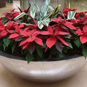 金筑达球形不锈钢组合花盆