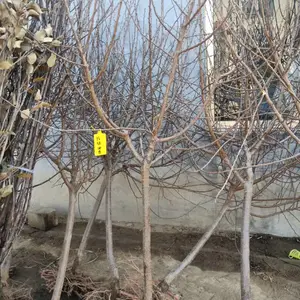 4������������ 5���������۸� �����õĸ߸�����