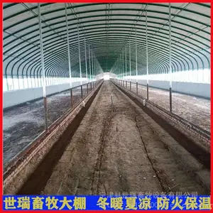 全自动养牛大棚建设 养牛场牛舍规划 肉牛养殖棚搭建