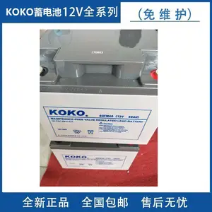 KOKO�ɿ�����GFM-100 ��ά��2V100AH����/UPSֱ��������