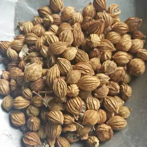 ��ɰ�ʴ�ɰ�� ��ҩ�����������ζ����������±�����ֻ�