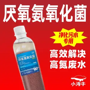 厌氧氨氧化菌红菌降解总氮降解氨氮降解总磷降解cod用于生活污水一体化治理生活污染淤泥改善生活环境