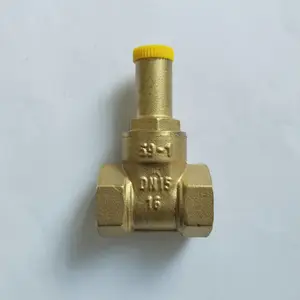��ͭ���ų���ֱ�� ˫����� һ������ ͭ ���Լ���բ��