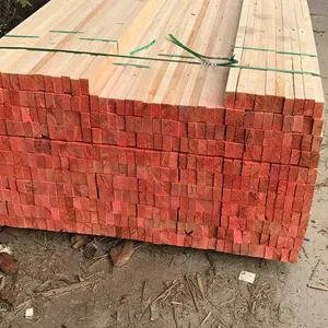 ���ݹ���ľ������Ǯ