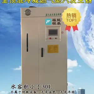 ***型全预混冷凝燃气蒸汽发生器 节能 环保 占地面积小