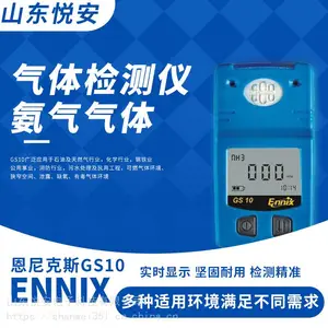 恩尼克斯GS10-LEL可燃气体检测仪单一手持式气体检测仪