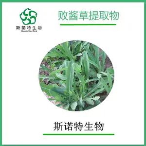 败酱草提取物 10：1棕黄色粉末 喷雾干燥工艺 包邮发货