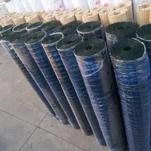 硬塑荷兰网和软塑荷兰网 圈地网 养鸡网 养殖圈地围网