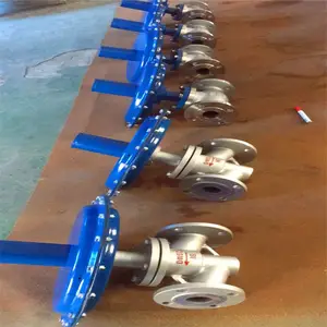 ZZVP-16P SUS304�������������ʽ΢ѹ��ѹ��