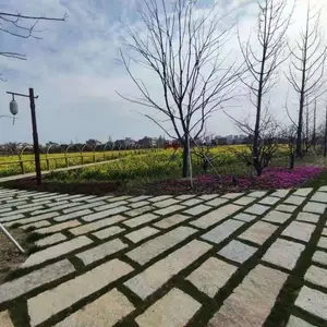 寺庙古建园林 铺路石 百年陈旧老石板 石屹旧石头条步道铺装