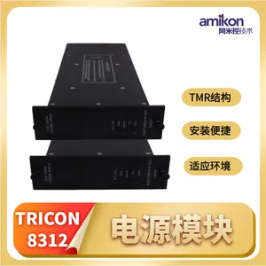 Tricon 7400206-100 �ɱ�̿���ϵͳģ��