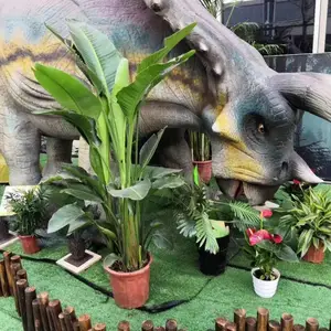 ����������� ����չ��ģ���̼� ��ʽ���� ֧�ֶ���