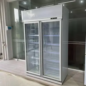 奇力饮料冷藏柜立式单双开门超市水柜(支持定制出口海外贸易)