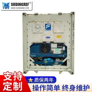 凤岗冷藏集装箱出租移动冷库出租冷藏保鲜货柜冷冻集装箱