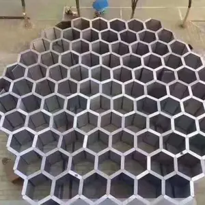 大型蜂巢迷宫