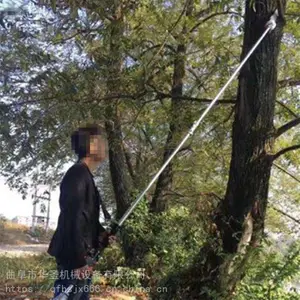 ��ũ��֦��Ҷ���� ��ľ�޸�֦�����;� ��֦��ͼƬ