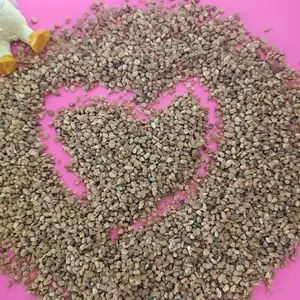 ˮϴ��Ŀ���ɳ 20-40Ŀ ������ �����ú�ɳ ��ɫ