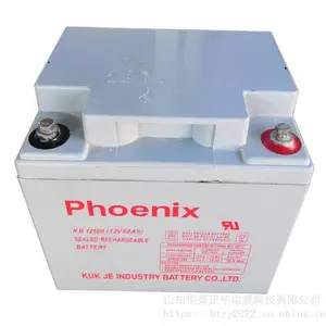�������KB122000 12V200AH Phoenix��ά������