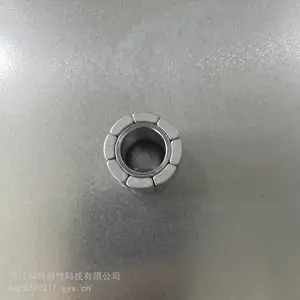 工贸一体 转子组件 磁组件 磁应用