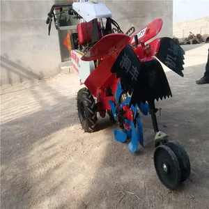 �����������ٻ� �����ַ������� �������������