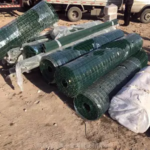 陕西西安荷兰 圈果园荷兰网 包塑荷兰网 铁丝网 隔离网
