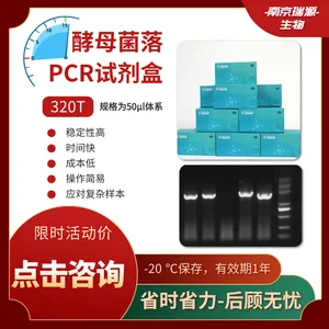 酵母菌落PCR试剂盒-快速-稳定-南京瑞源生物