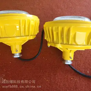 啤酒厂防爆照明灯_30W400W50W法兰杆装防爆灯