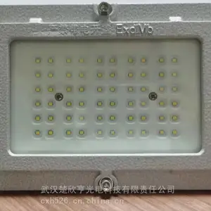 LED防爆应急灯BAJ-50W 应急6小时双头照明灯 带配套安装支架