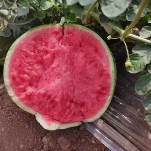 ���������Ϲ�Ӧ�����Ͽ�������ȫ������-������������-����ͨ�����ϴ���