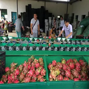 ��������ѡ�豸�ܹ�һ�����ÿ��ٷ�ѡ�����ˮ���������ˮ���ּ��豸