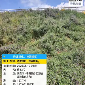 承接边坡绿化工程施工 专业客土喷播队伍 矿山河道电站荒山洗煤厂绿