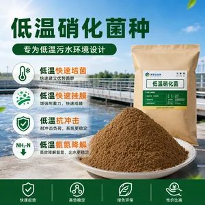 冬季耐低温硝化菌 耐低温反硝化菌 耐低温复合菌冬季氨氮超标耐低温菌种