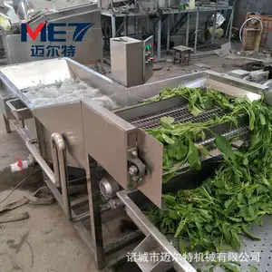 厂家直销野菜 蔬菜 娃娃菜专用气泡清洗机