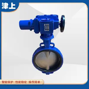 �����ж���ĥ�������ڿ����� ���ϲ��ɵ� D971X-16P DN150 DN200