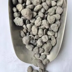 �������� Դͷ���� ֻ������
