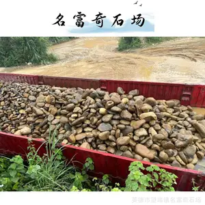 ����ͥԺ�ر�����С������԰����ʯС·ԭ��������ô��