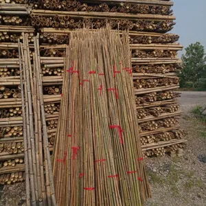 唐山哪里有卖竹竿的厂家?选择腾福竹木