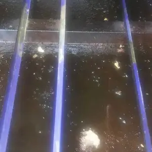 天津华信清洗单位学校酒店厨房油烟机清洗我们更可靠