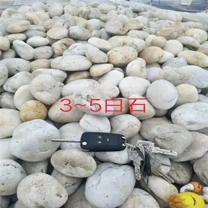 路面铺设黑色 白色 黄色鹅卵石荣茂厂家直销 