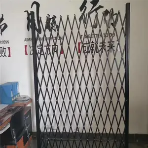 ˫������������ ���������� ������������