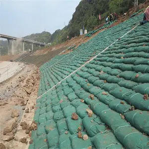 ������̬����ɫ���·����ӵ���Ѵɳ�������̻�������������ֲ����