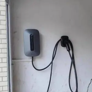 С�����ֵ綯�������ʳ��׮����