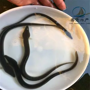 ��ˮŷ�������� �������� �ձ������� �����㼰������ѡ����