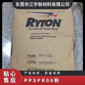 PPS ����ѩ���������� PR06(��) ע�� �ͻ�ѧ�� ��ĥ ���ȶ��� ��������