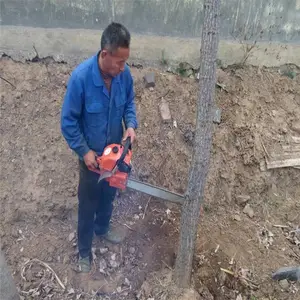������������� �Ͻ�����ʽ������ ԰�������