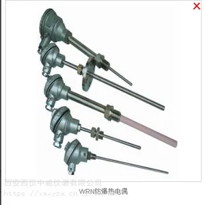 热电偶/热电阻双金属温度计