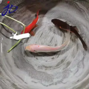 �����ƹ���ۺ���ˮ���ˮͿ���������ˮ��©����js��ˮͿ��