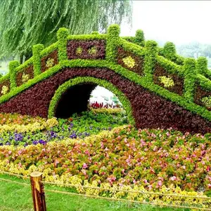 ��ֲ�Թ� ��ֲ����¹ ������ֲ���� �����̵�С��