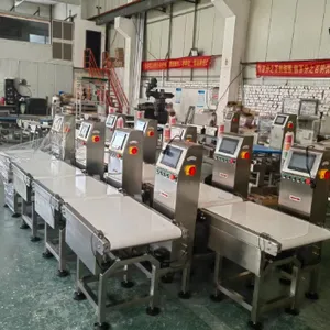 徐州高速包装单元检重秤价钱 苏州梅赛奥供应
