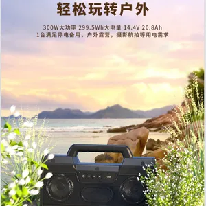 �����ֲ��Ź��ܲ������Ĵ��ܵ�Դ***F15-300